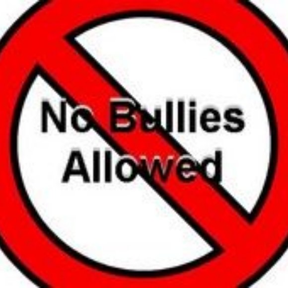 No More Bullies: For Those Who Wound or Are - Picture 6 of 16